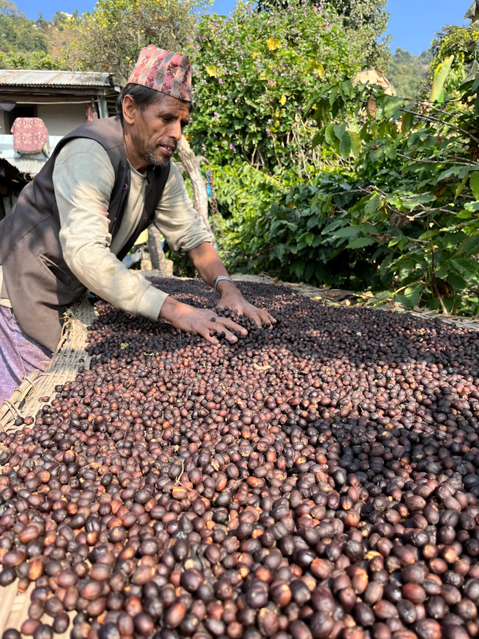 BLOG- 【ヒマラヤンコーヒーの魅力vol.2】一杯のコーヒーでネパールの